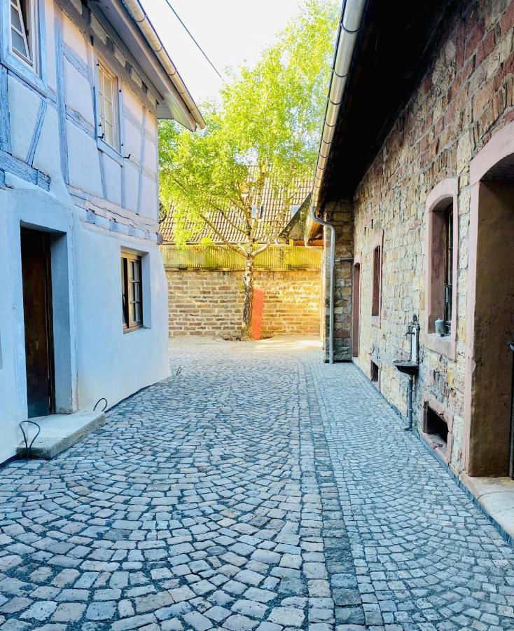 Vintner Suites Neustadt an der Weinstraße 외부 사진